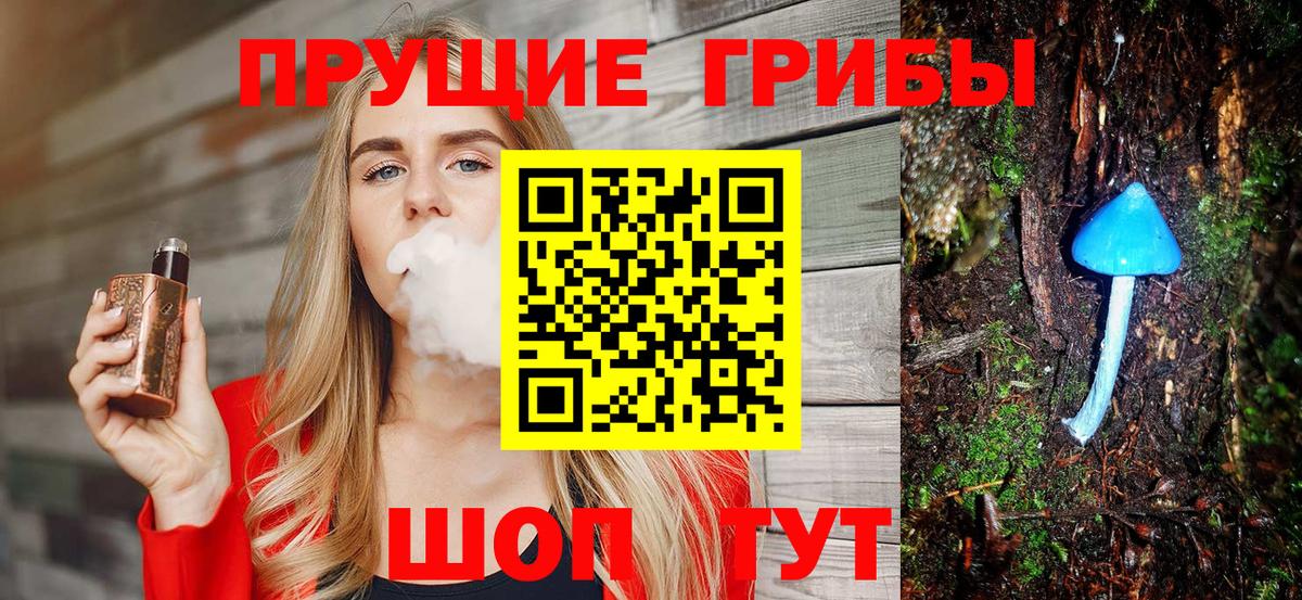 Галлюциногенные грибы мицелий Горно-Алтайск