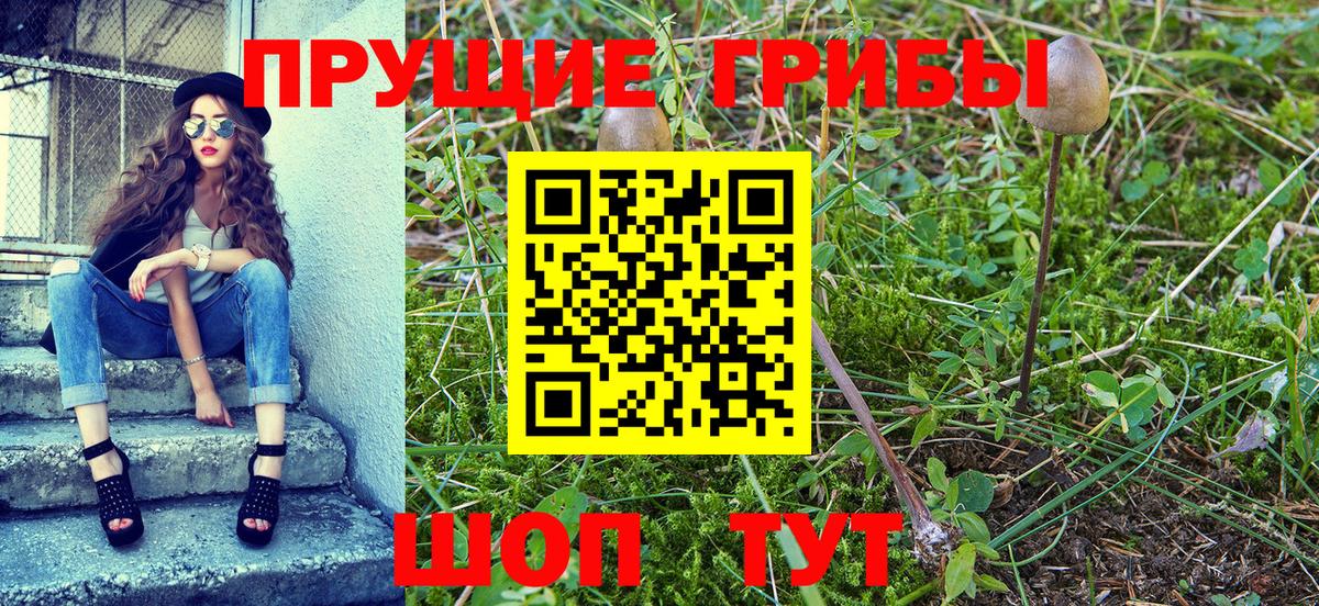 Галлюциногенные грибы MAGIC MUSHROOMS  Вход с VPN  Горно-Алтайск  Галлюциногенные грибы Magic Shrooms 
